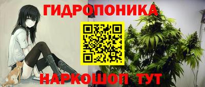 2c-b Абинск