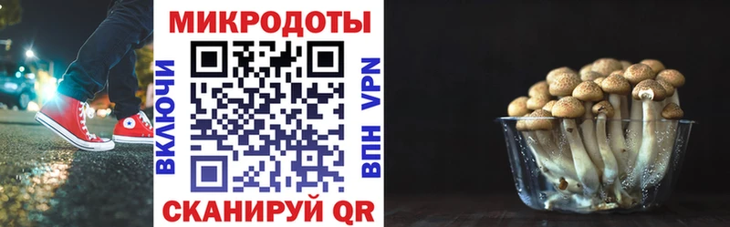 купить  сайты  Арсеньев  кракен ссылки  Псилоцибиновые грибы ЛСД 