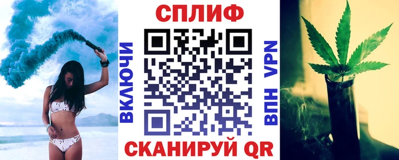 Конопля сатива Арсеньев